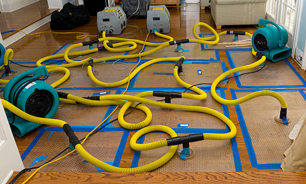 Professional Water Damage Repair technician working in White, SD
