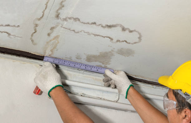 Affordable Water Damage Repair solutions in White, SD